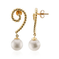 Boucles d'oreilles en or et Perle blanche de culture d'eau douce (TPC)