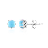 Boucles d'oreilles en argent et Turquoise Sleeping Beauty