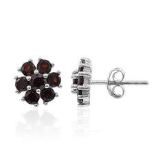 Boucles d'oreilles en argent et Grenat
