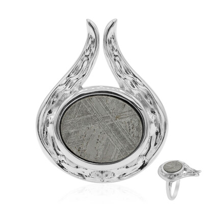 Bague en argent et Météorite ferreuse