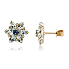 Boucles d'oreilles en or et Aigue-marine