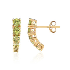 Boucles d'oreilles en argent et Péridot