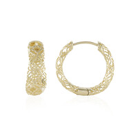 Boucles d'oreilles en or (Ornaments by de Melo)