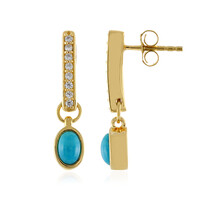 Boucles d'oreilles en argent et Turquoise