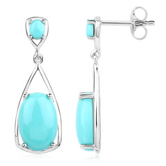 Boucles d'oreilles en argent et Turquoise