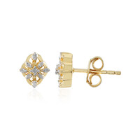 Boucles d'oreilles en argent et Diamant I2 (I)