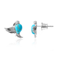Boucles d'oreilles en argent et Turquoise