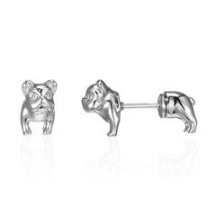 Boucles d'oreilles en argent