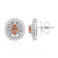 Boucles d'oreilles en argent et Saphir Padparadscha (Dallas Prince Designs)