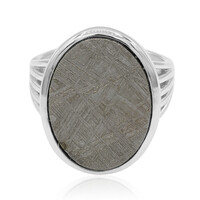 Bague en argent et Météorite ferreuse