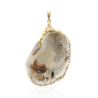 Pendentif en argent et Coquillage (TPC)
