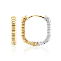 Boucles d'oreilles en argent