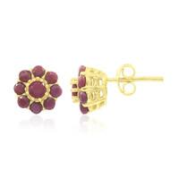 Boucles d'oreilles en argent et Rubis