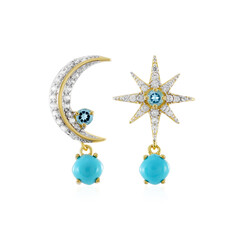 Boucles d'oreilles en argent et Turquoise