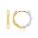 Boucles d'oreilles en argent