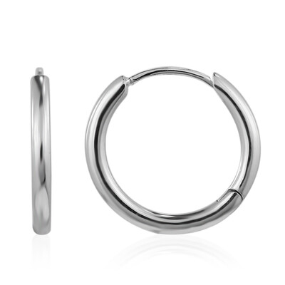 Boucles d'oreilles en argent