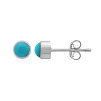 Boucles d'oreilles en argent et Turquoise