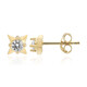 Boucles d'oreilles en argent et Zircon