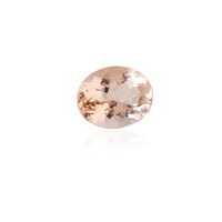  Morganite de Madagascar 2,464 ct (gemme et boîte de collection)