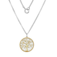 Collier en argent et Zircon