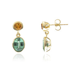 Boucles d'oreilles en or et Kyanite Menthe (CUSTODANA)