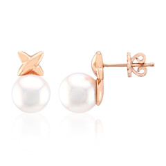 Boucles d'oreilles en or et Perle d'Akoya (TPC)