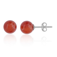 Boucles d'oreilles en argent et Cornaline