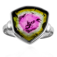 Bague en argent et Tourmaline Melon d'Eau