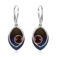 Boucles d'oreilles et Ambre baltique