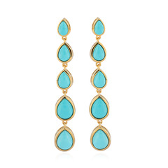 Boucles d'oreilles en argent et Turquoise Sleeping Beauty (de Melo)