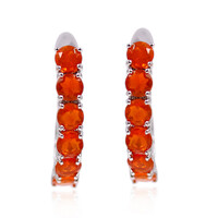 Boucles d'oreilles en argent et Opale orange d'Éthiopie