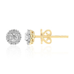 Boucles d'oreilles en or et Diamant VVS1 (G)