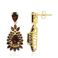 Boucles d'oreilles en argent et Grenat