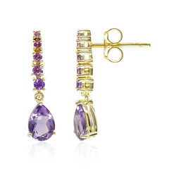 Boucles d'oreilles en or et Améthyste