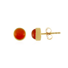 Boucles d'oreilles en argent et Cornaline
