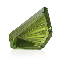  Tourmaline verte de Golconda (gemme et boîte de collection)