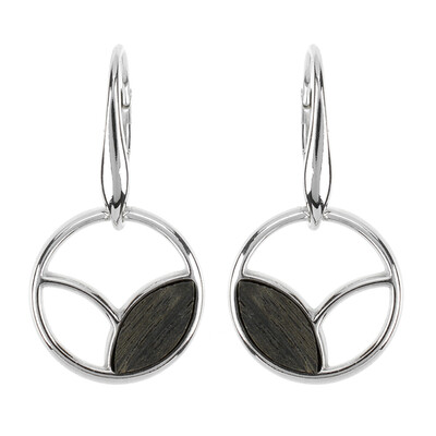 Boucles d'oreilles en argent et Chêne des marais (dagen)