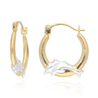 Boucles d'oreilles en or