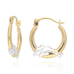 Boucles d'oreilles en or