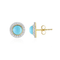 Boucles d'oreilles en argent et Turquoise Sleeping Beauty