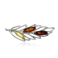 Broche en argent et Ambre