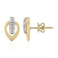 Boucles d'oreilles en or et Diamant IF (D)