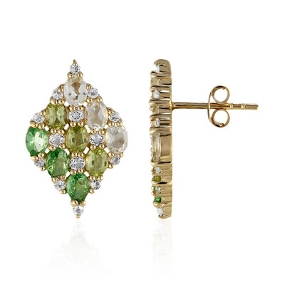 Boucles d'oreilles en argent et Améthyste verte