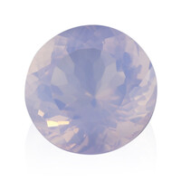  Quartz Fleur de Lys (gemme et boîte de collection)