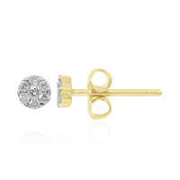 Boucles d'oreilles en argent et Diamant I1 (G)