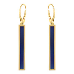 Boucles d'oreilles en argent