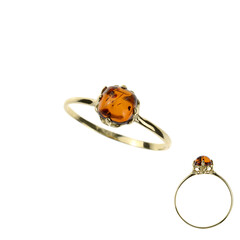 Bague en or et Ambre baltique
