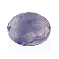  Quartz Fleur de Lys (gemme et boîte de collection)