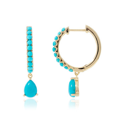 Boucles d'oreilles en argent et Turquoise Sleeping Beauty
