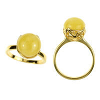 Bague en argent et Ambre baltique